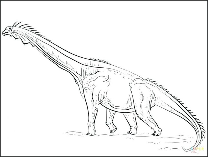 728x550 Coloring Pages For Kids Cars Online Adults To Print Out Dinosaurs - Dinosaur Outline Drawing