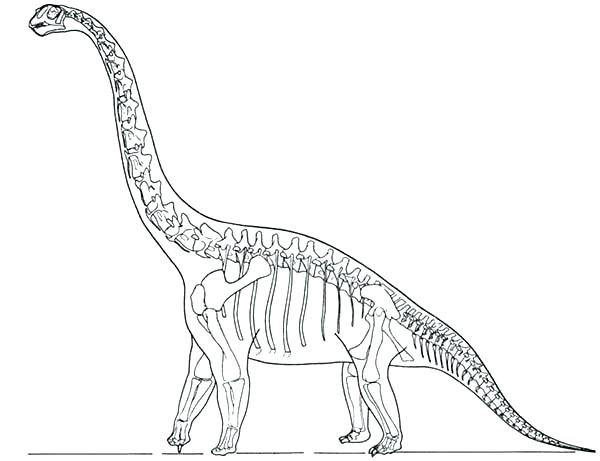 Dinosaur Outline Drawing at PaintingValley.com | Explore collection of ...