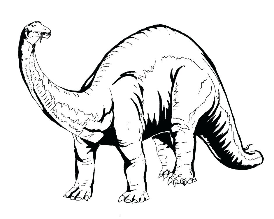 940x752 dinosaur outline dinosaurs dinosaur template printable - Dinosaur Outline Drawing