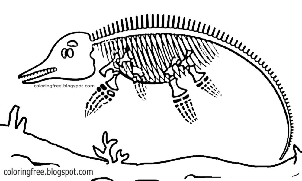 1000x600 Sea Dinosaur Drawing For Children Ocean Coloring Pages Printable - Dinosaur Outline Drawing