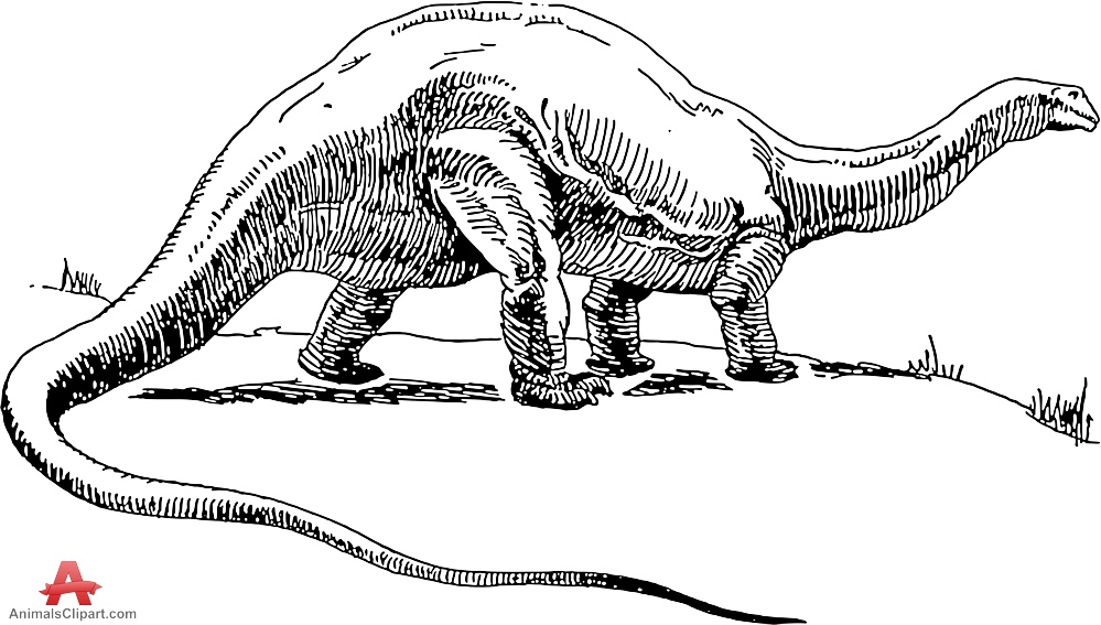 999x567 Dino Drawing Outline For Free Download - Dinosaur Outline Drawing