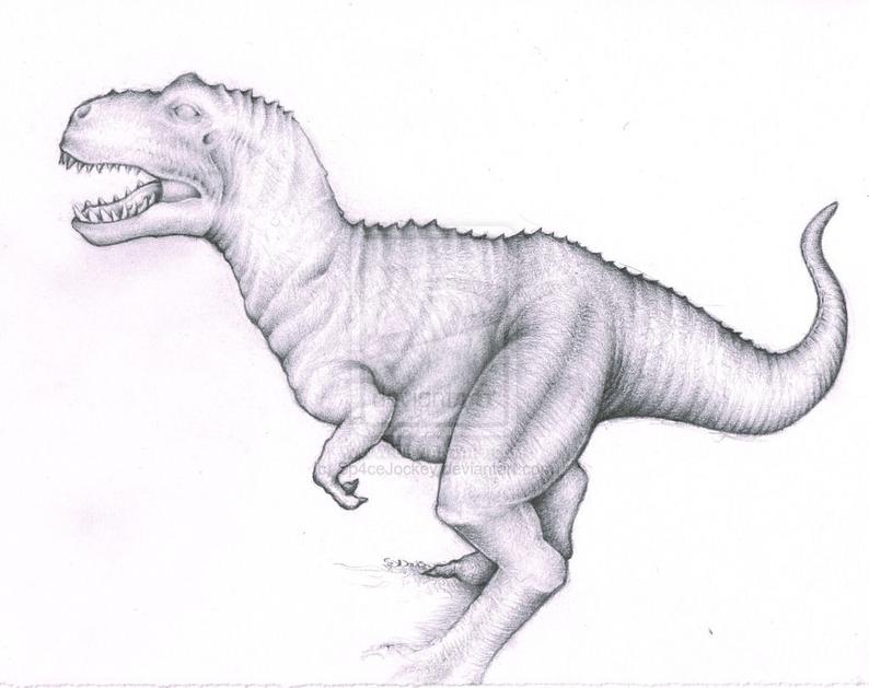 794x629 dinosaur tyranosaurus rex trex pencil drawing high quality etsy - Dinosaur Pencil Drawing