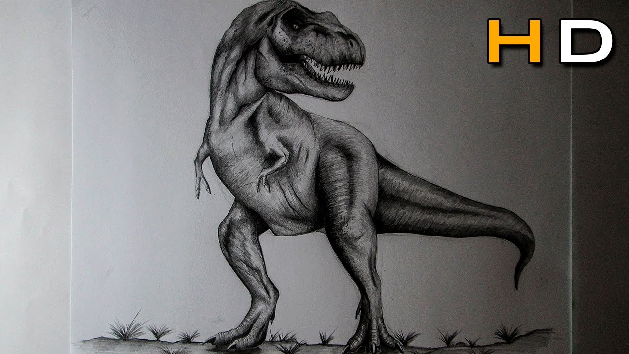 1280x720 How To Draw A T Rex With Pencil Step - Dinosaur Pencil Drawing
