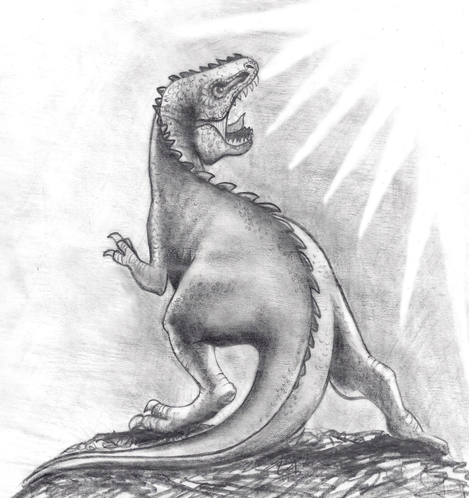 Dinosaur Pencil Drawing at Explore collection of