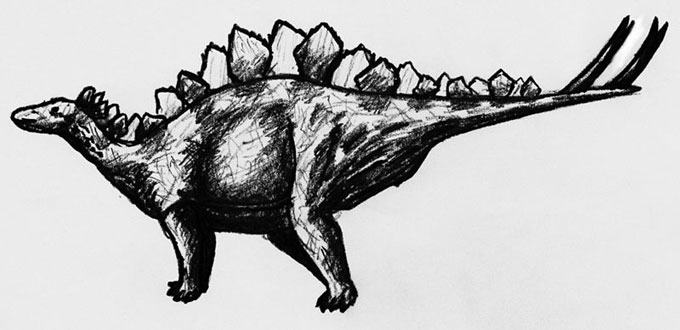 680x330 Stegosaurus Pencil Sketch - Dinosaur Pencil Drawing