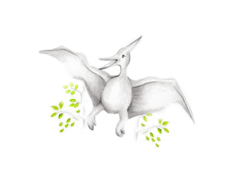 794x613 dinosaur nursery art pterodactyl pencil drawing baby etsy - Dinosaur Pencil Drawing
