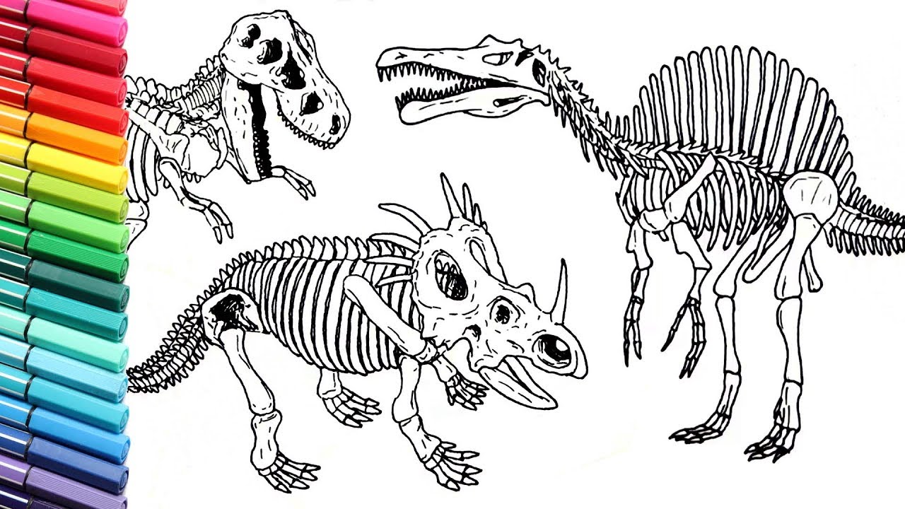1280x720 Drawing And Coloring Dinosaurs Skeleton - Dinosaur Skeleton Drawing