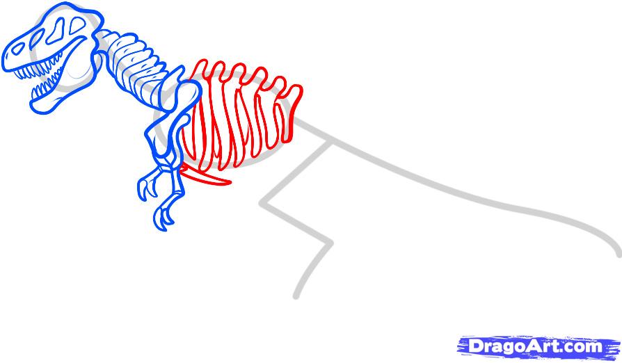 Нарисовать скелет динозавра карандашом