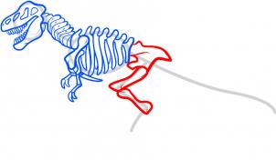 302x176 how to draw how to draw a dinosaur skeleton, dinosaur skeleton - Dinosaur Skeleton Drawing
