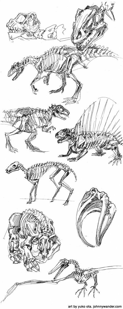 500x1250 Art In Dinosaur Drawing, Skeleton - Dinosaur Skeleton Drawing