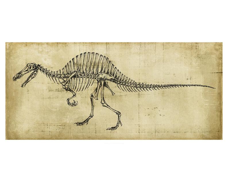 794x635 Spinosaurus Art Oddities And Curiosities Dinosaur Drawing Etsy - Dinosaur Skeleton Drawing
