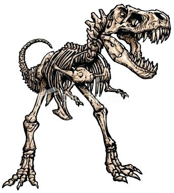 343x380 T Rex Skeleton Coloring - Dinosaur Skeleton Drawing