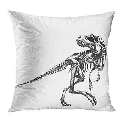 425x425 Tomkeys Throw Pillow Cover Skull Dinosaur Skeleton - Dinosaur Skeleton Drawing