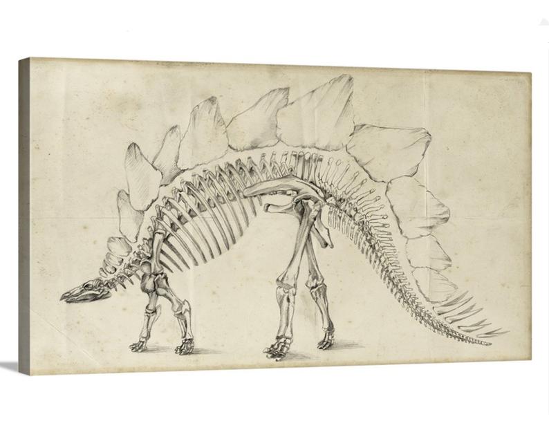 794x635 Dinosaur Art Print Dinosaur Drawing Oddities And Etsy - Dinosaur Skeleton Drawing
