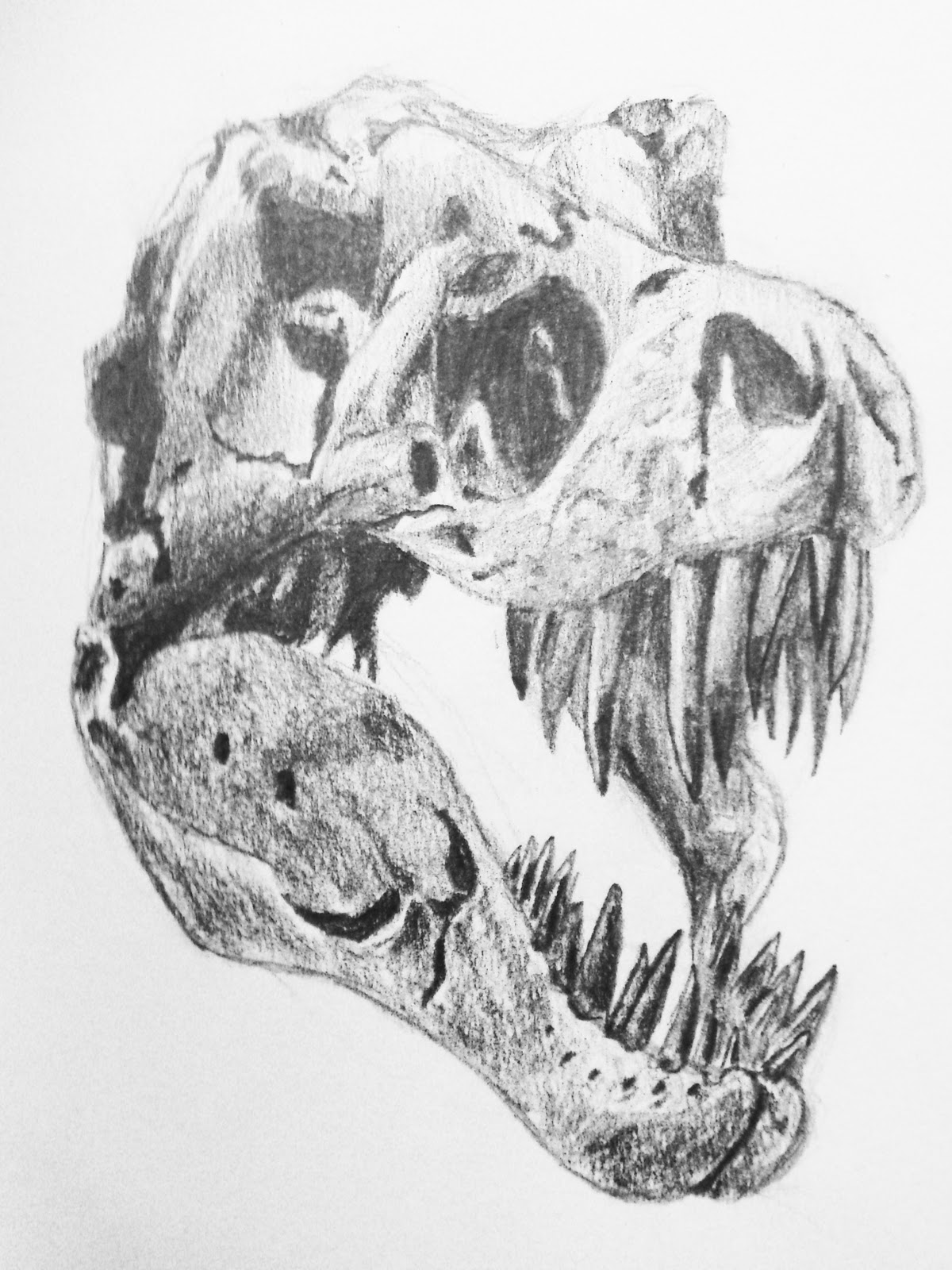 How To Draw A Dinosaur Skull