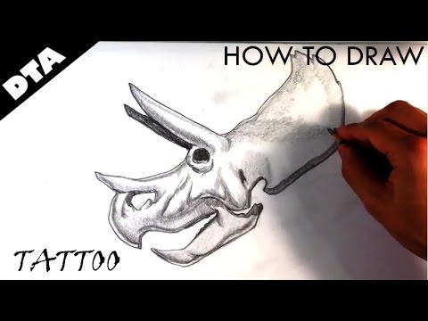 480x360 Drawing A Dinosaur Skull - Dinosaur Skull Drawing