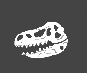 300x250 Dinosaur Skull Drawing - Dinosaur Skull Drawing