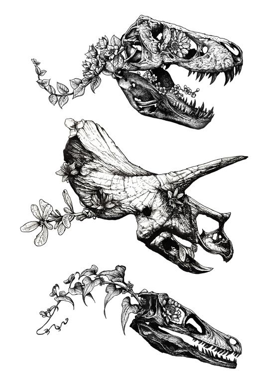 550x778 Floral Dinosaur Drawing Art Posters Tattoos - Dinosaur Skull Drawing