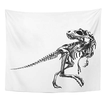 425x425 tompop tapestry skull dinosaur skeleton tyrannosaurus - Dinosaur Skull Drawing