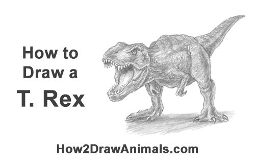 500x315 How To Draw A T Rex Roaring Video Step - Dinosaur T Rex Drawing