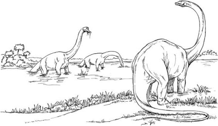 450x260 brachiosaurus facts for kids - Dinosaurs For Kids Drawing