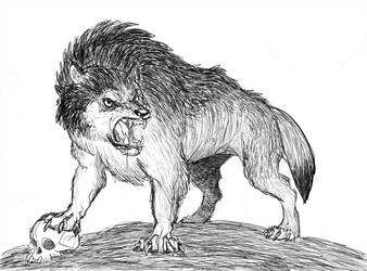 338x250 Dire Wolf Sketch - Dire Wolf Drawing