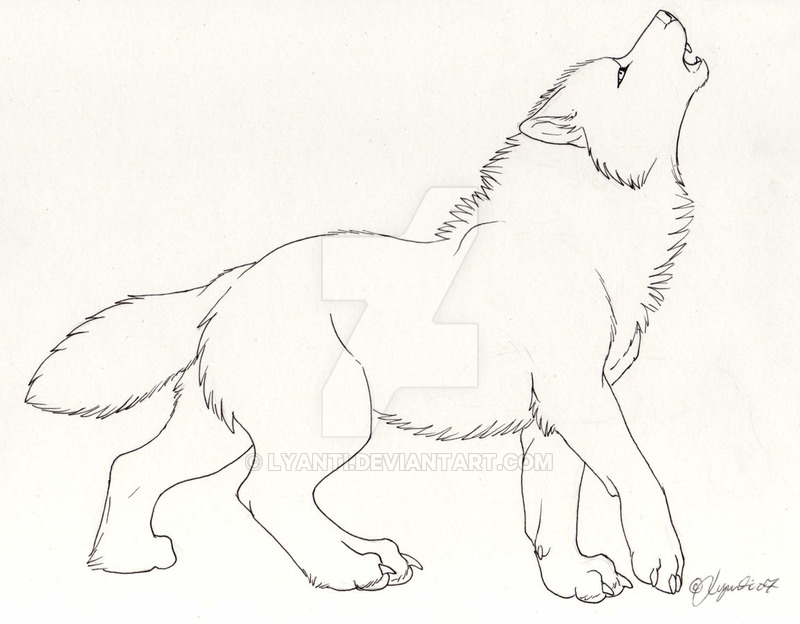 800x624 Dire Wolf - Dire Wolf Drawing