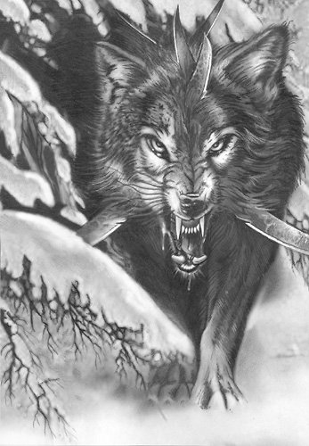 347x500 Fantasy Art Rabid Dire Wolf - Dire Wolf Drawing