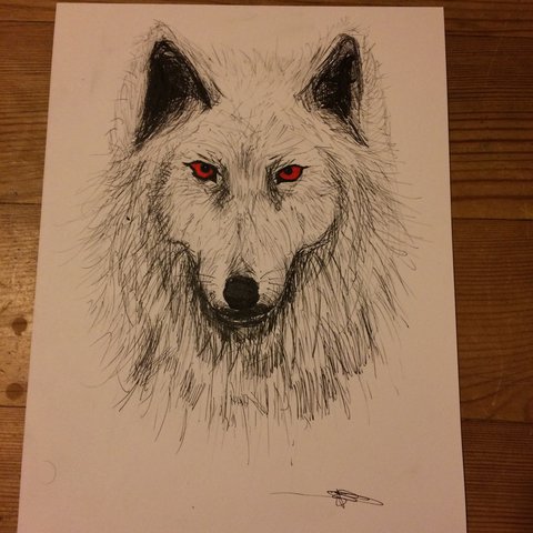 480x480 Ghost, Game Of Thrones Dire Wolf Drawing On Card Using Pen - Dire Wolf Drawing