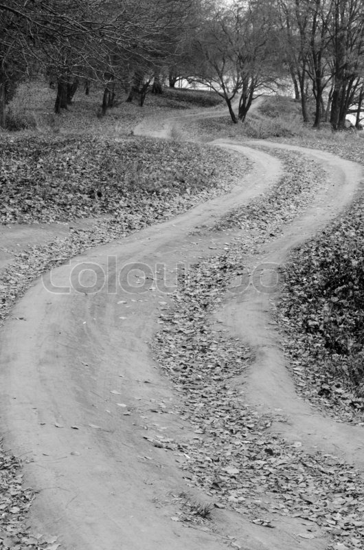 530x800 Dirt Road In The Woods With The Letter Stock Photo Colourbox - Dirt Road Drawing