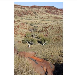 320x320 Learning From Drawing In The Pindan Dirt With The Murujuga Peoples - Dirt Road Drawing