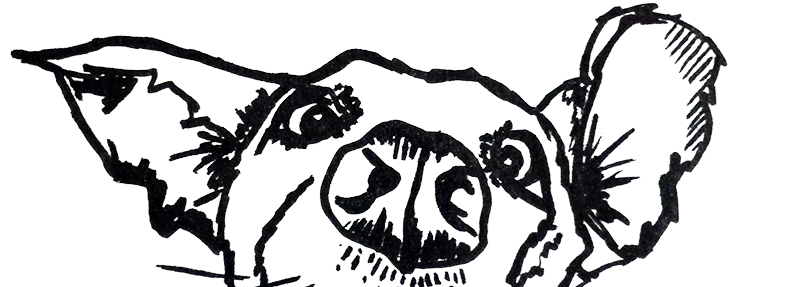 800x287 Dirty Dog Lauren Leggatt Graphic Design - Dirty Dog Drawing