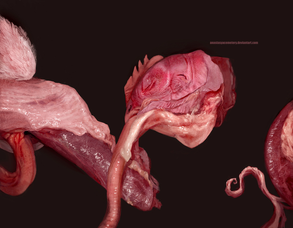 950x738 disco lies drawing - Disco Drawing