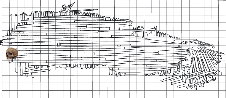 763x331 location of the human skull - Discovery Drawing