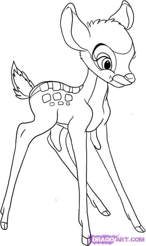 498x835 how to draw bambi, step - Disney Bambi Drawing