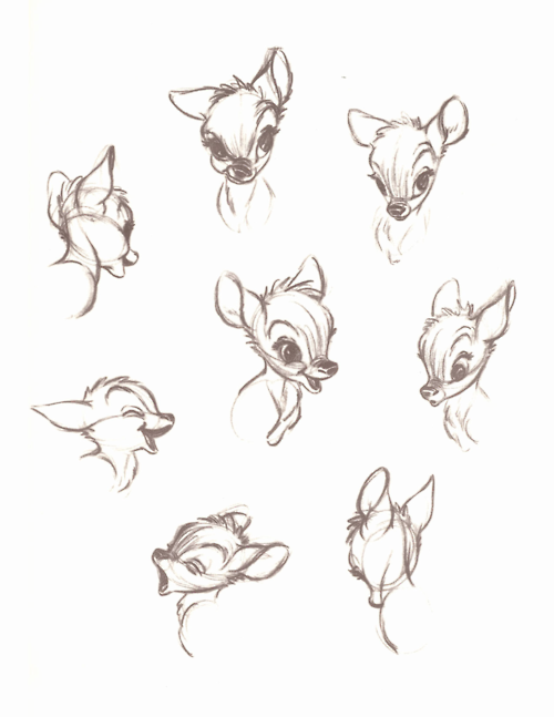 500x647 walt disney's, bambi - Disney Bambi Drawing