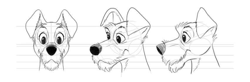 850x279 How To Draw Disney Animals - Disney Drawing Images
