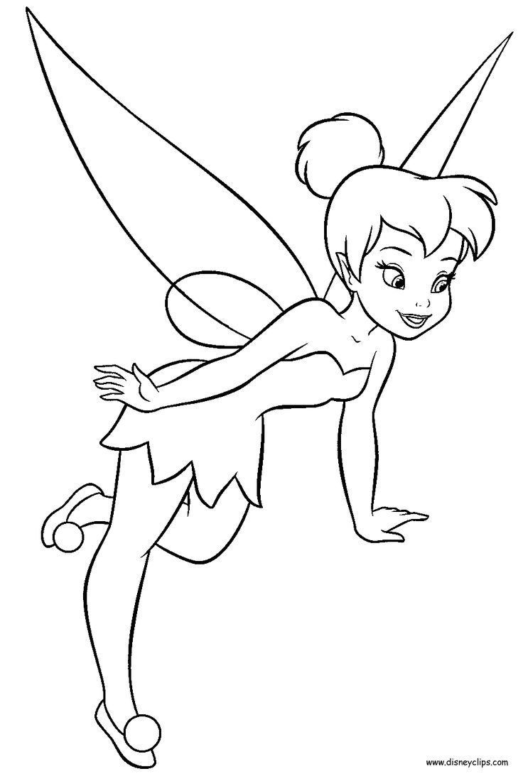 736x1093 fairies tinker bell - Disney Fairies Drawings