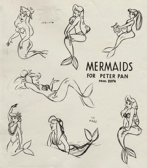 500x569 mermaid drawings for peter pan on we heart it - Disney Peter Pan Drawings