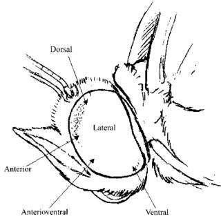 320x320 Analysis Of Variance Table For Dj Download Table - Dj Table Drawing