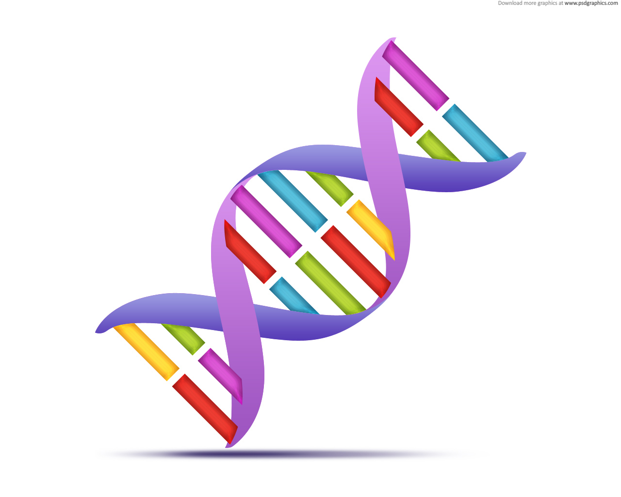 1280x1024 Dna Double Helix Clip Art - Dna Double Helix Drawing