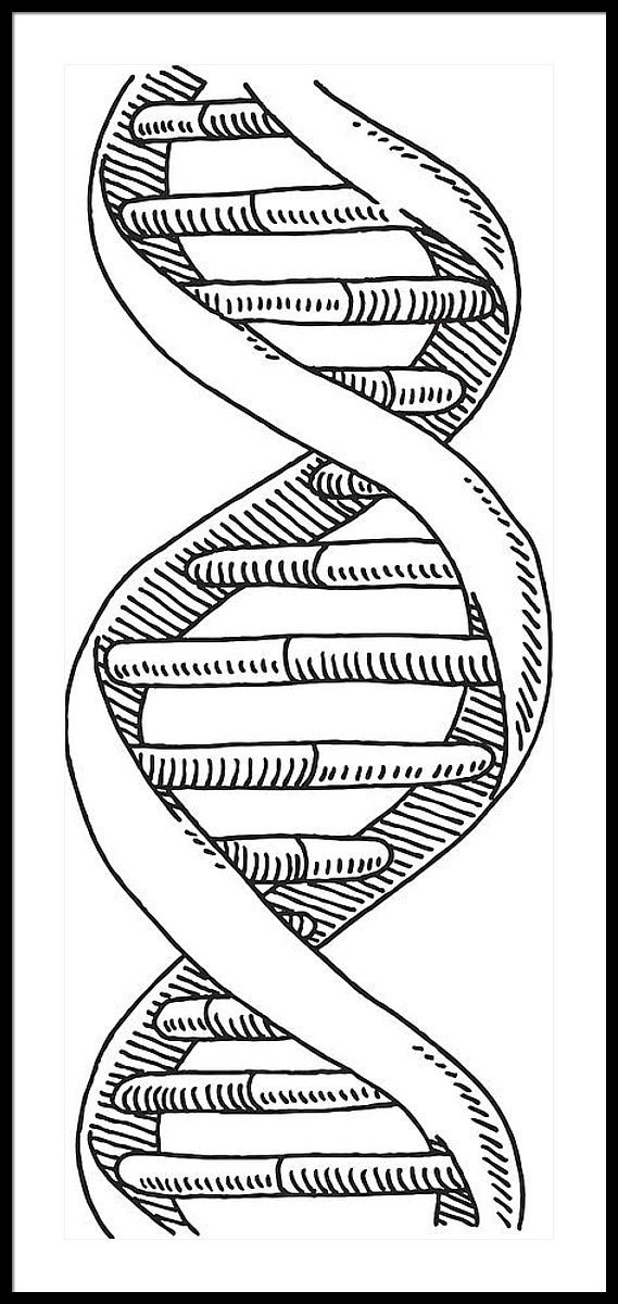 Schematic Drawing Of Dna Double Helix
