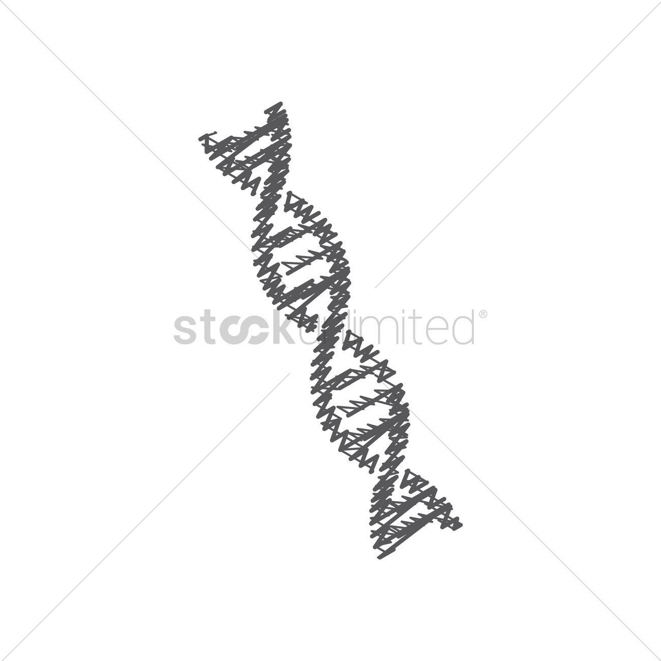 1300x1300 Double Helix Dna Strand Vector Image - Dna Double Helix Drawing