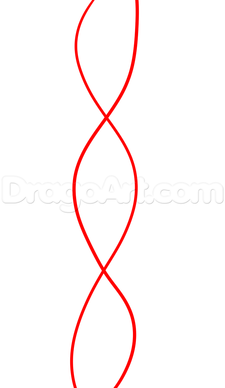 748x1292 How To Draw Dna, Step - Dna Double Helix Drawing