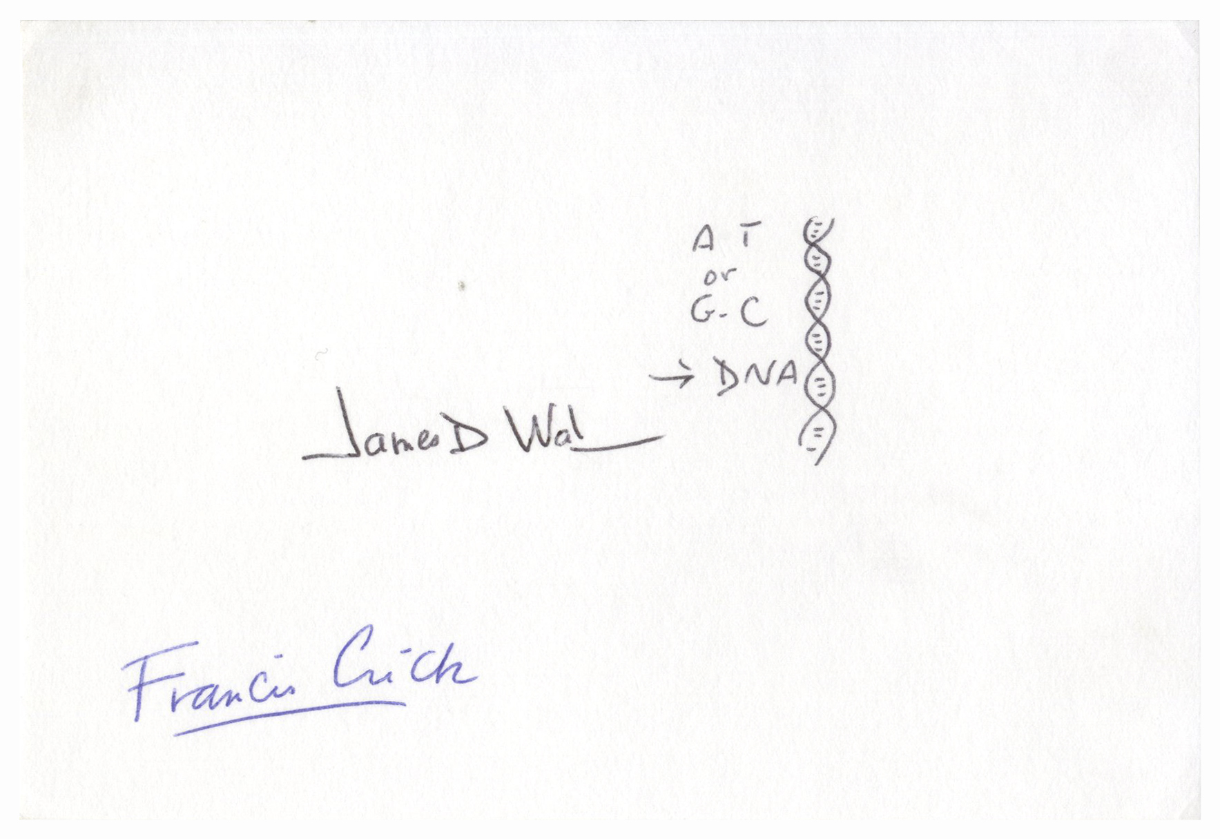 1767x1215 Lot Detail - Dna Double Helix Drawing