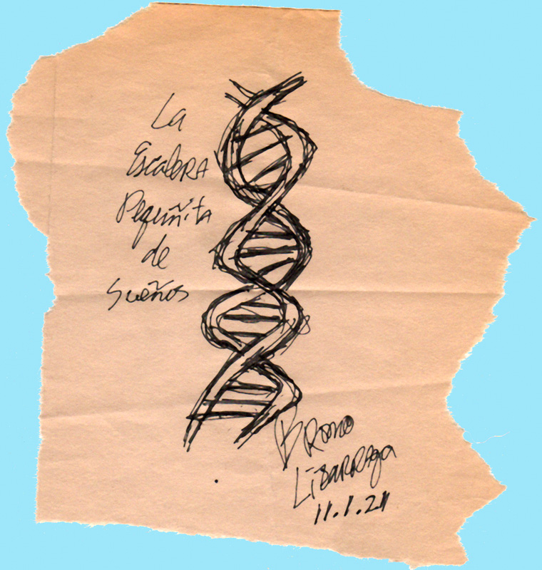 760x800 Sketch Of A Dna Double Helix A Live Film And Scoring Lab - Dna Double Helix Drawing