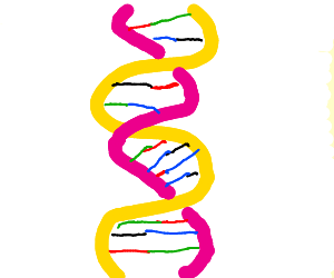 300x250 Dna Double Helix Drawing - Dna Double Helix Drawing