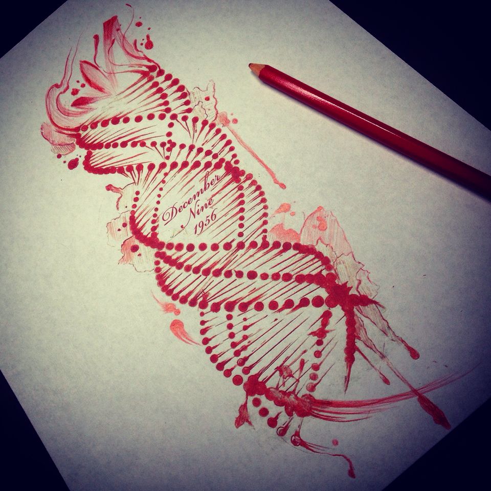 960x960 dna sketch drawing drawing - Dna Drawing