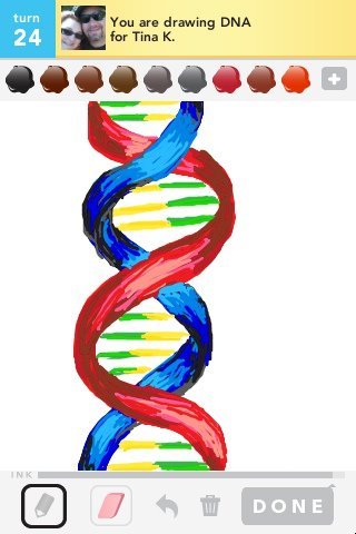 320x480 Dna Drawings - Dna Drawing