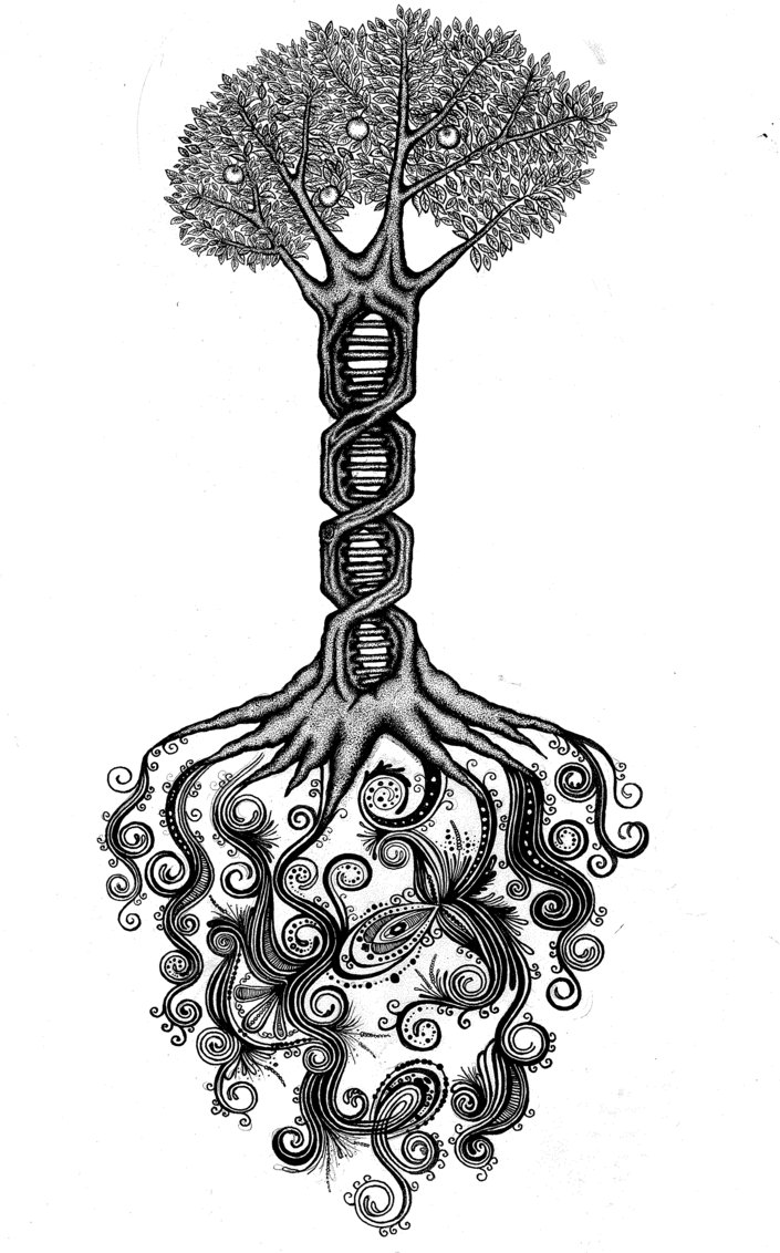 705x1132 Dna Drawing Free Download - Dna Drawing